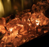 Электроочаг RealFlame Saphir 25